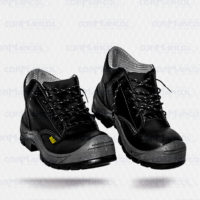 Bota dielectrica 920
